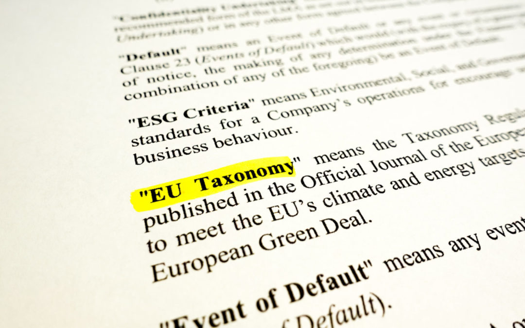 focus-sur-texte-qui-définit-la-taxonomie-de-lunion-europeenne