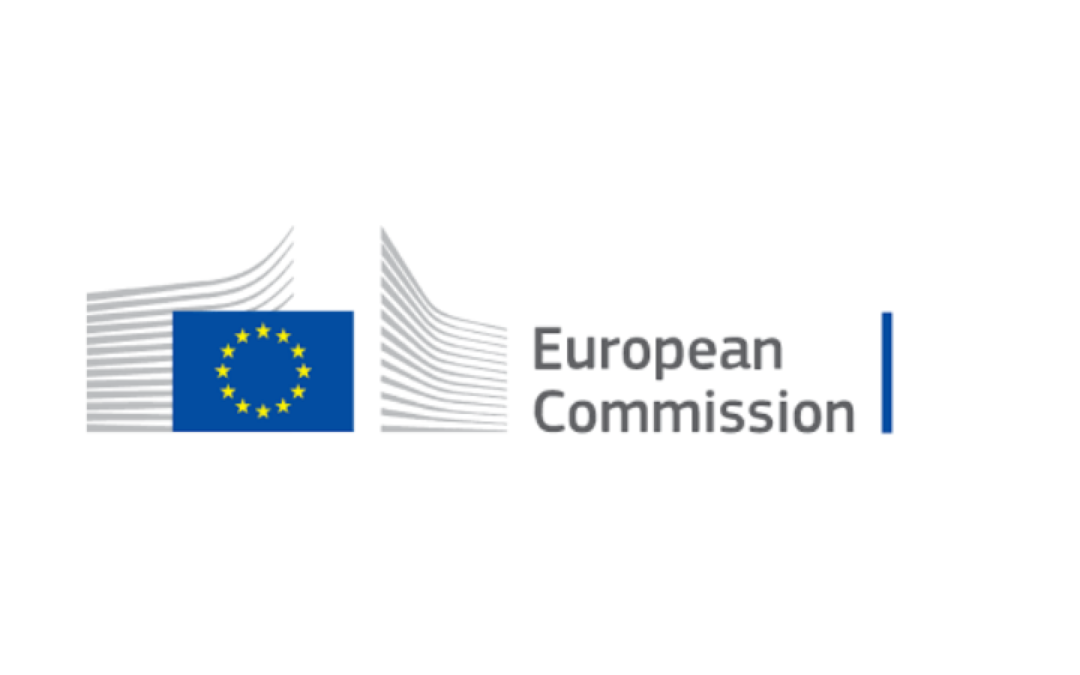 The Voices took part in a workshop held by the European Commission
